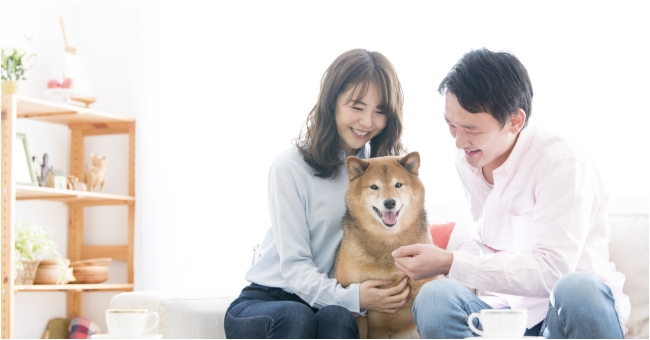 ペットの為のリフォーム
