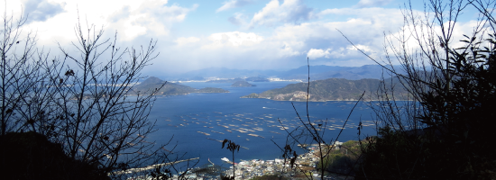 地域密着のノウハウ