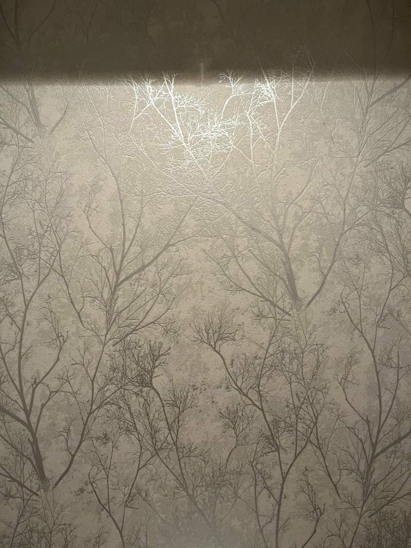 トイレリフォーム3